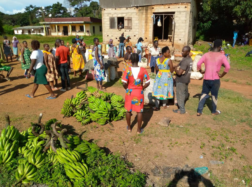 LE MARCHÉ VIVRIER DE NDOKOHOK