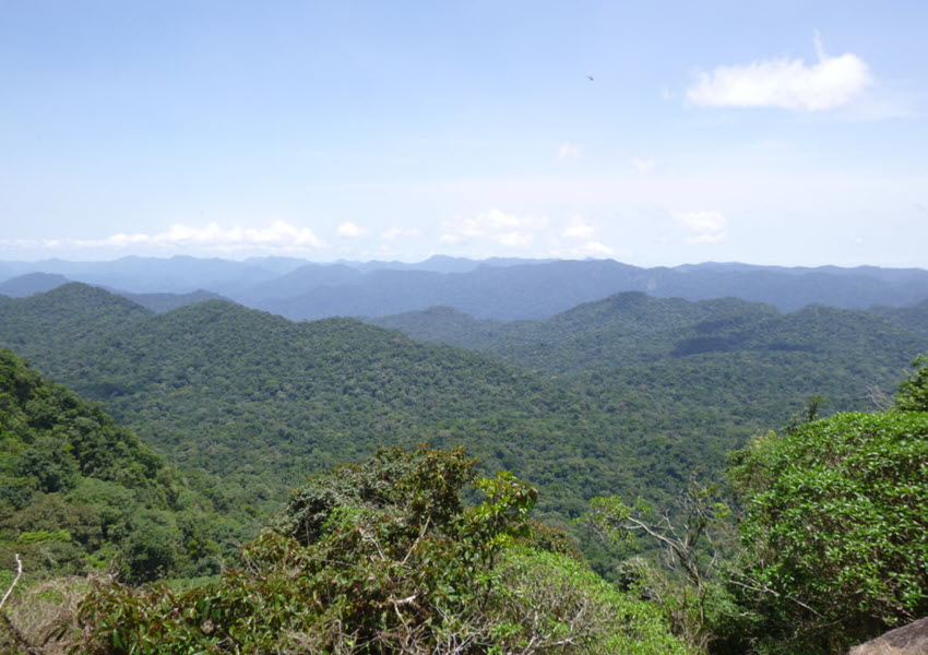 Massif forestier d’Ebo : 68.386 hectares classés dans le domaine permanent de l’Etat